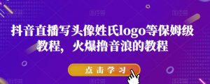 抖音直播写头像姓氏logo等保姆级教程,火爆撸音浪教程【揭秘】-赚金金-技能学习分享