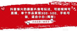抖音爆火的最新头像号玩法,可短视频可直播,单个作品变现300-500,手机可做,适合小白【揭秘】-赚金金-技能学习分享
