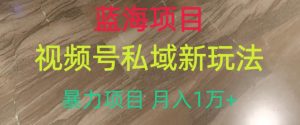 蓝海项目,视频号私域新玩法,暴力项目月入1万+【揭秘】-赚金金-技能学习分享