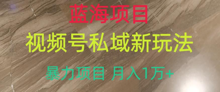 蓝海项目，视频号私域新玩法，暴力项目月入1万+【揭秘】-赚金金-技能学习分享