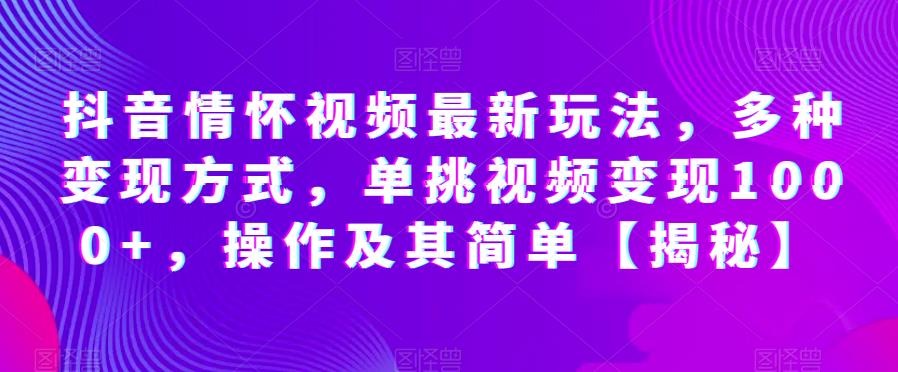 抖音情怀视频最新玩法，多种变现方式，单挑视频变现1000+，操作及其简单【揭秘】-赚金金-技能学习分享