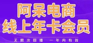 阿呆电商线上年会员,阿呆电商干货分享(更新中)-赚金金-技能学习分享