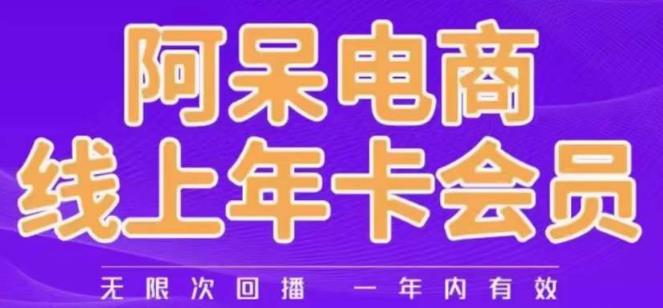 阿呆电商线上年会员，阿呆电商干货分享（更新中）-赚金金-技能学习分享