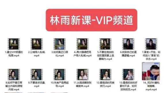 林雨新课VIP频道，玩赚私域/朋友圈/社群-赚金金-技能学习分享