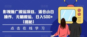影视推广搬运项目,适合小白操作,无脑搬运,日入500+【揭秘】-赚金金-技能学习分享