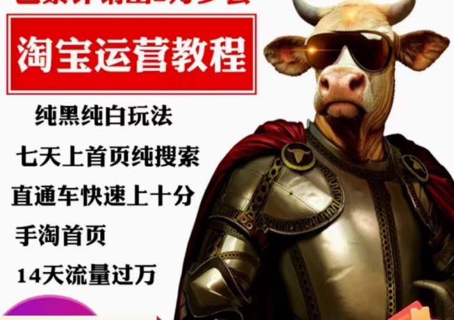 猫老师·淘系算法逆向解密，​纯黑纯白玩法，七天上首页纯搜索，手淘首页14天流量过万-赚金金-技能学习分享