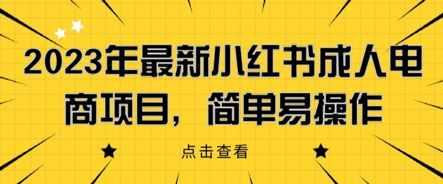 2023年最新小红书成人电商项目，简单易操作【详细教程】【揭秘】-赚金金-技能学习分享