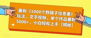 最新《1000个野路子信息差》玩法,文字视频,单个作品暴粉5000+,小白轻松上手【揭秘】-赚金金-技能学习分享