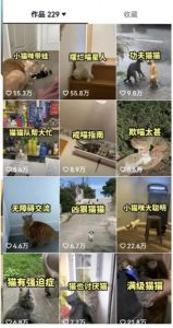 拆解：抖音盘点类中视频变现副业项目，视频版一条龙大解析分享给你-赚金金-技能学习分享