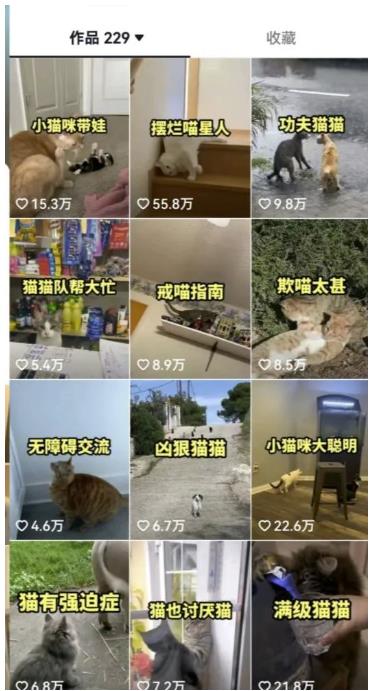 拆解抖音盘点类中视频变现副业项目，视频版一条龙大解析分享给你【视频课程】-赚金金-技能学习分享