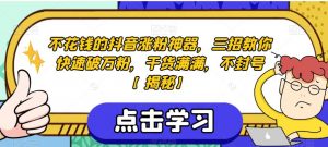 不花钱的抖音涨粉神器,三招教你快速破万粉,干货满满,不封号【揭秘】-赚金金-技能学习分享