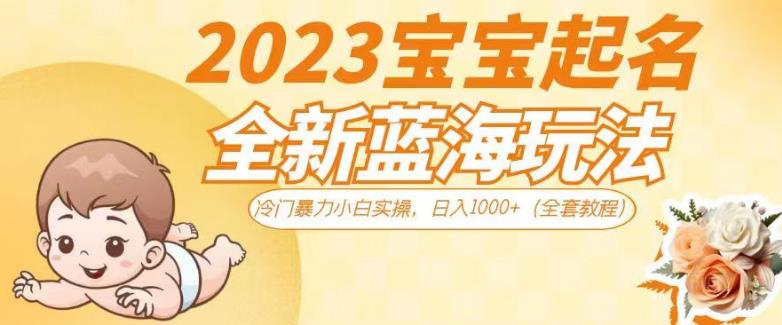 2023宝宝起名全新蓝海玩法，冷门暴力小白实操，日入1000+（全套教程）【揭秘】-赚金金-技能学习分享
