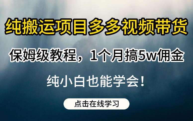 纯搬运项目多多视频带货保姆级教程，1个月搞5w佣金，纯小白也能学会【揭秘】-赚金金-技能学习分享