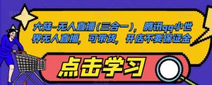 大陆-无人直播(三合一),腾讯qq小世界无人直播,可带货,开店不要保证金-赚金金-技能学习分享
