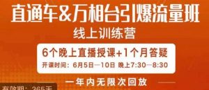 直通车&万相台引爆流量班,6天打通你开直通车·万相台的任督二脉-赚金金-技能学习分享
