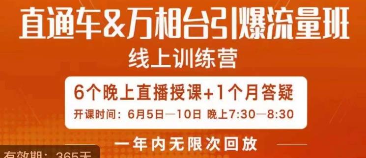 直通车&万相台引爆流量班，6天打通你开直通车·万相台的任督二脉-赚金金-技能学习分享