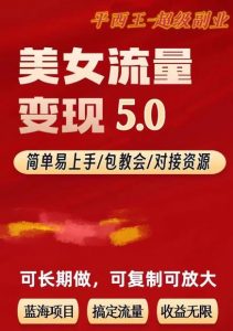 TK美女短视频变现项目无限复制(升级版),全网最高性价比项目【揭秘】-赚金金-技能学习分享