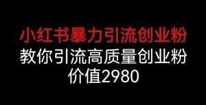 小红书暴力引流创业粉,教你引流高质量创业粉,价值2980【揭秘】-赚金金-技能学习分享