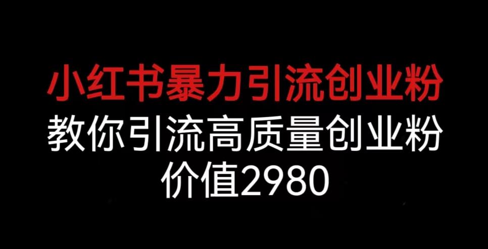 小红书暴力引流创业粉，教你引流高质量创业粉，价值2980【揭秘】-赚金金-技能学习分享
