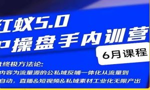 红蚁5.0IP操盘手内训营,IP操盘终极方法论-赚金金-技能学习分享