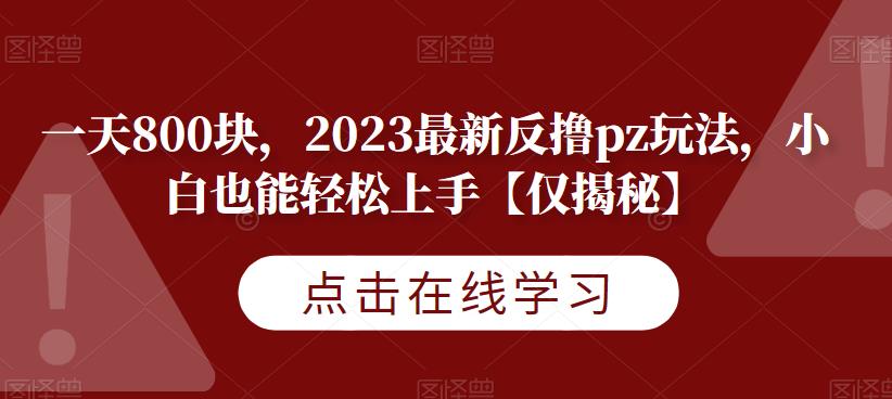 一天800块，2023最新反撸pz玩法，小白也能轻松上手【仅揭秘】-赚金金-技能学习分享