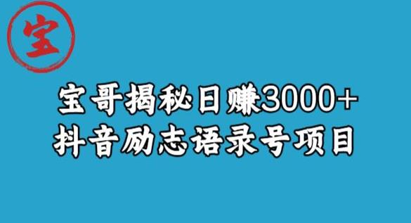 宝哥揭秘日赚3000+抖音励志语录号短视频变现项目-赚金金-技能学习分享