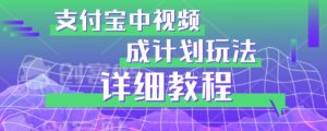 避坑玩法:支付宝中视频分成计划玩法实操详解【揭秘】-赚金金-技能学习分享