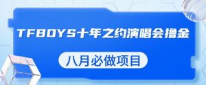 最新蓝海项目,靠最近非常火的TFBOYS十年之约演唱会流量掘金,八月必做的项目【揭秘】-赚金金-技能学习分享