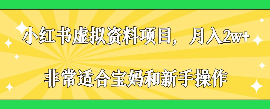 小红书虚拟资料项目，月入2w+，非常适合宝妈和新手操作【揭秘】-赚金金-技能学习分享