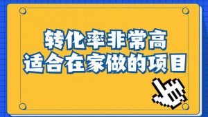 小红书虚拟电商项目：从小白到精英（视频课程+交付手册）-赚金金-技能学习分享