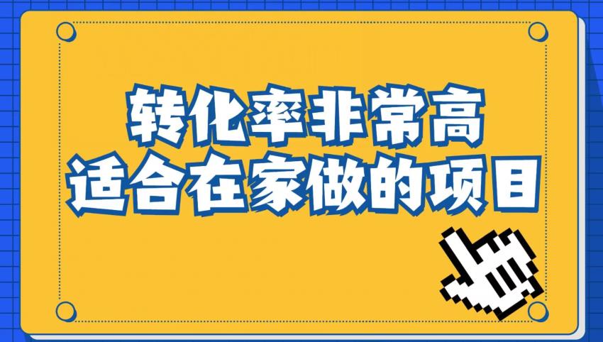 小红书虚拟电商项目：从小白到精英（视频课程+交付手册）-赚金金-技能学习分享