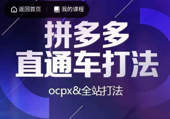互力·拼多多直通车打法，ocpx&全站打法-赚金金-技能学习分享