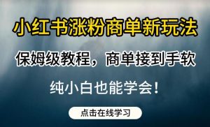小红书涨粉商单新玩法,保姆级教程,商单接到手软,纯小白也能学会【揭秘】-赚金金-技能学习分享