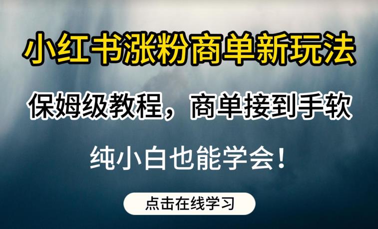 小红书涨粉商单新玩法，保姆级教程，商单接到手软，纯小白也能学会【揭秘】-赚金金-技能学习分享