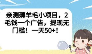 亲测薅羊毛小项目,2毛钱一个广告,提现无门槛!一天50+【揭秘】-赚金金-技能学习分享