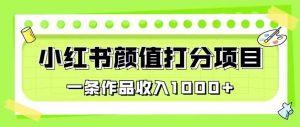 最新蓝海项目,小红书颜值打分项目,一条作品收入1000+【揭秘】-赚金金-技能学习分享