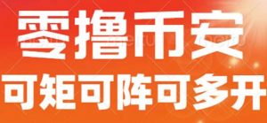 最新国外零撸小项目,目前单窗口一天可撸10+【详细玩法教程】【揭秘】-赚金金-技能学习分享