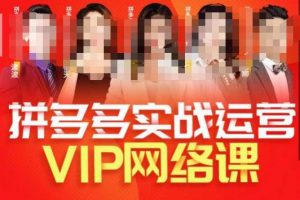 推易拼多多VIP全套直播课程,拼多多店铺实操玩法+实战玩法选款内功+直通车高阶等-赚金金-技能学习分享
