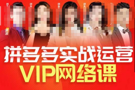 推易拼多多VIP全套直播课程，拼多多店铺实操玩法+实战玩法选款内功+直通车高阶等-赚金金-技能学习分享