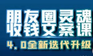 朋友圈灵魂收钱文案课,打造自己24小时收钱的ATM机朋友圈-赚金金-技能学习分享