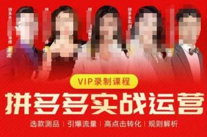 2023推易拼多多实战运营，选款测品、引爆流量、高点击转化、规则解析-赚金金-技能学习分享