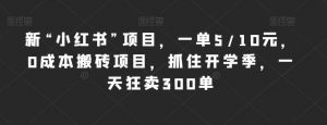 新“小红书”项目,一单5/10元,0成本搬砖项目,抓住开学季,一天狂卖300单【揭秘】-赚金金-技能学习分享