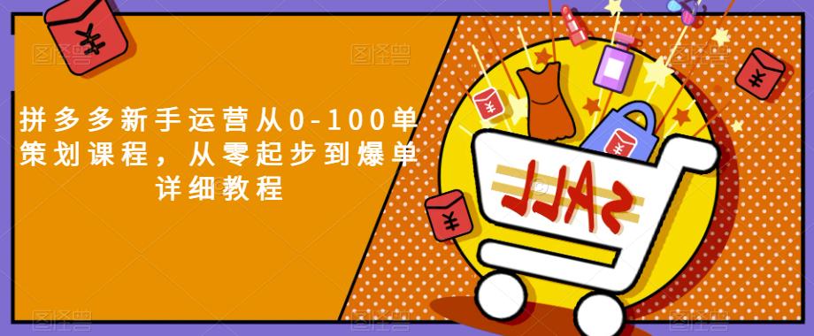 拼多多新手运营从0-100单策划课程，从零起步到爆单详细教程-赚金金-技能学习分享