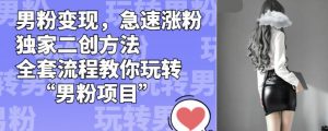 男粉变现,急速涨粉独家二创方法,全套流程教你玩转“男粉项目”【揭秘】-赚金金-技能学习分享