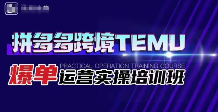 拼多多跨境TEMU爆单运营实操培训班，海外拼多多的选品、运营、爆单-赚金金-技能学习分享