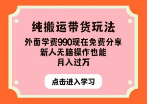 纯搬运带货玩法,外面学费990现在免费分享,新人无脑操作也能月入过万【揭秘】-赚金金-技能学习分享