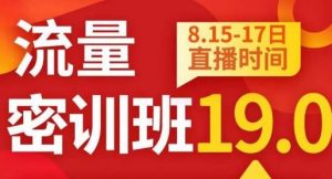 秋秋线上流量密训班19.0,打通流量关卡,线上也能实战流量破局-赚金金-技能学习分享
