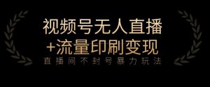 全网首发视频号不封号无人直播暴利玩法+流量印刷机变现,日入1000+【揭秘】-赚金金-技能学习分享