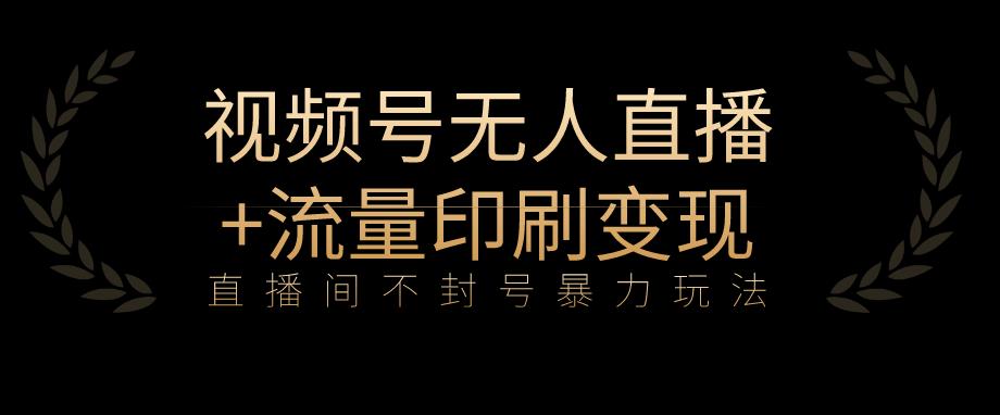 全网首发视频号不封号无人直播暴利玩法+流量印刷机变现，日入1000+【揭秘】-赚金金-技能学习分享