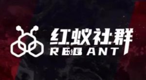 社群运营:红蚁社群【48节落地系统课程+2000人高端社群】-赚金金-技能学习分享